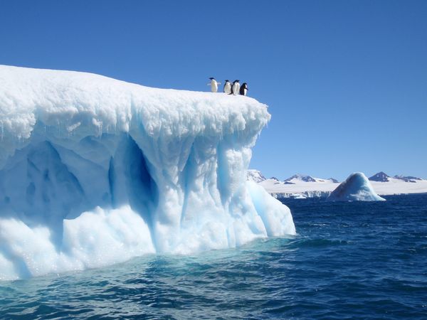 iceberg antarktika