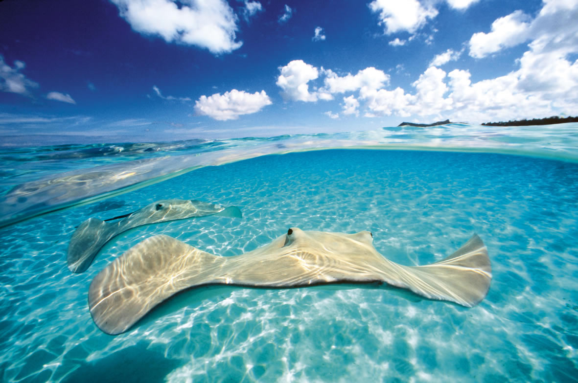 Cayman Inseln