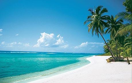 Cayman Inseln strand