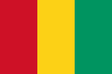 Guinea Flagge