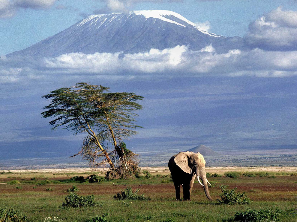 kilimanjaro Kenia