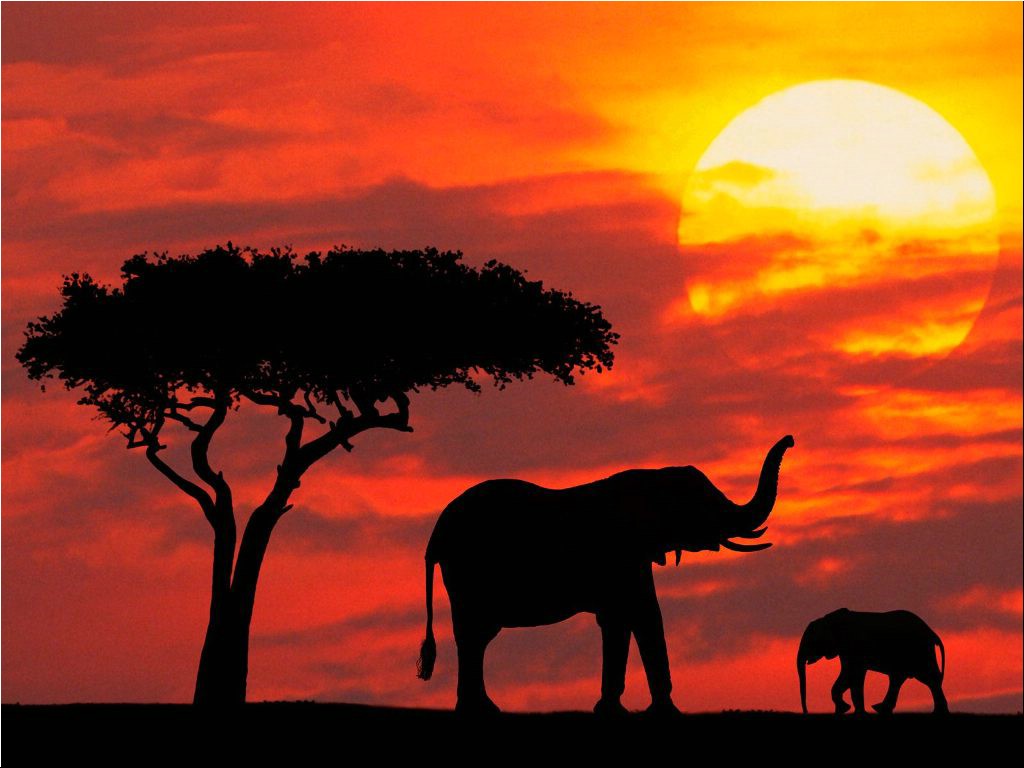 Silhouetted Kenia