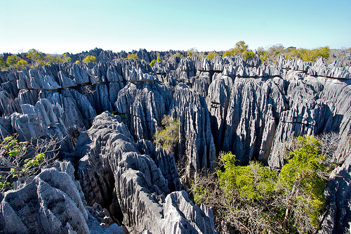 Bemaraha National Park Madagaskar