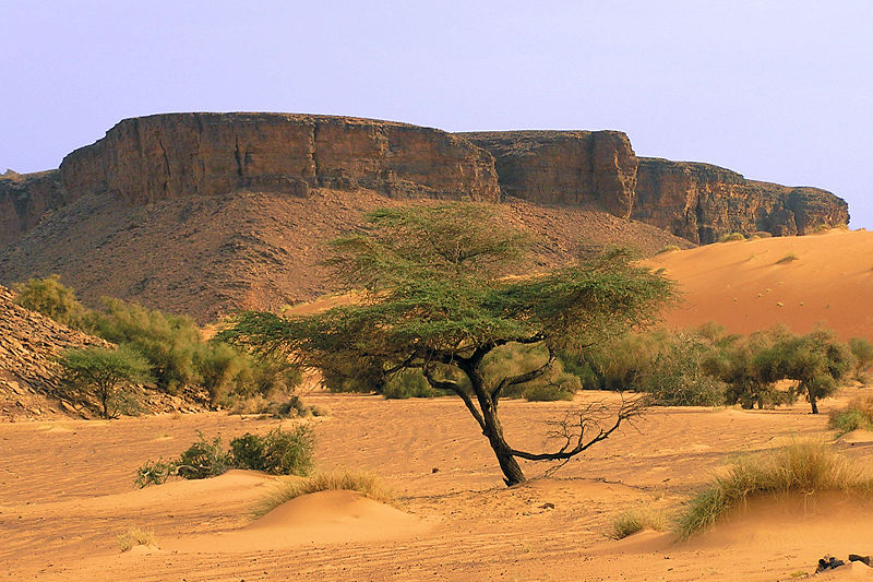 Mauretanien Adrar