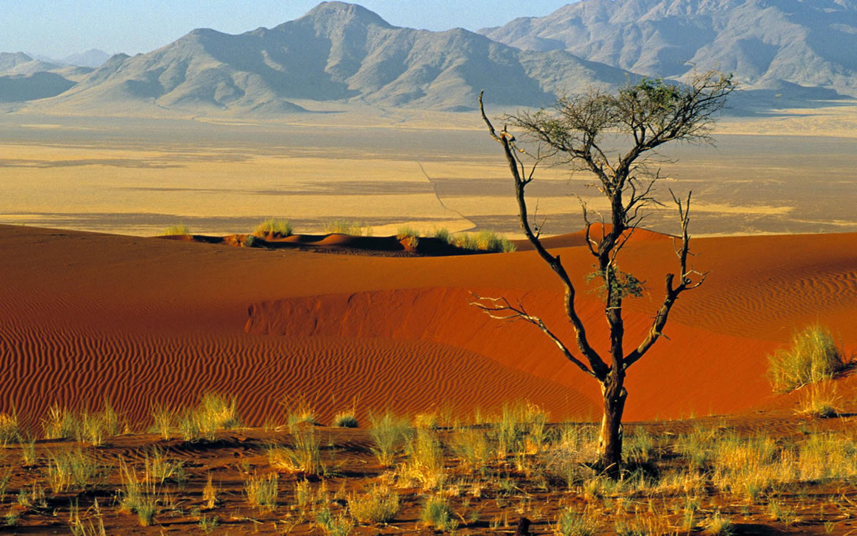 Excursie Namibia