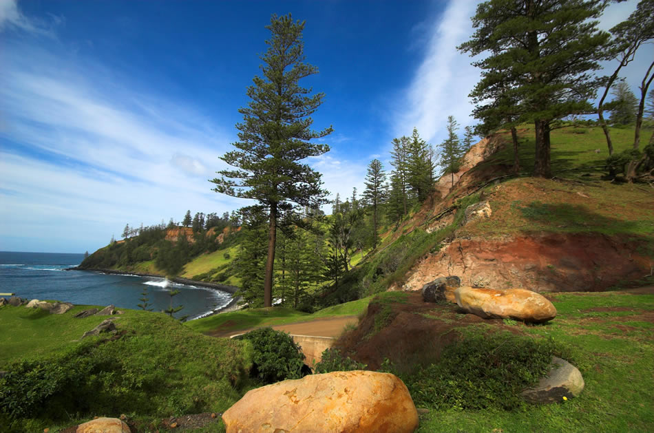 Norfolk Insel Pines