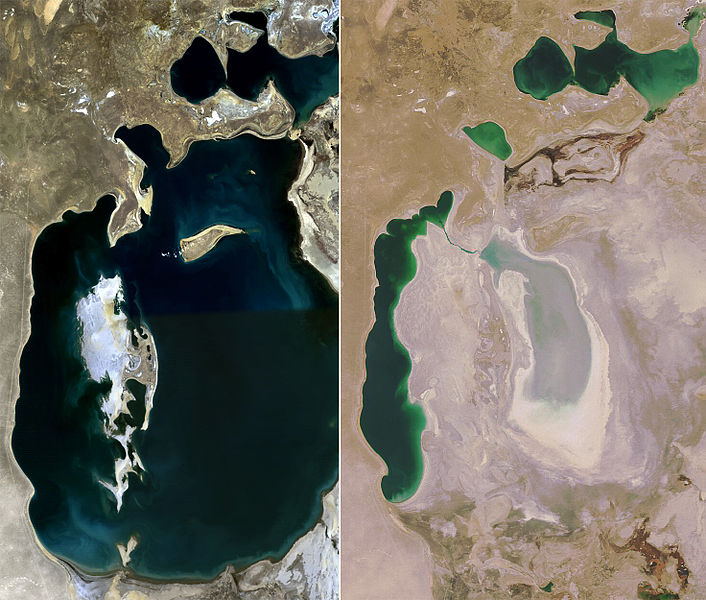 Aral see 1989 2008