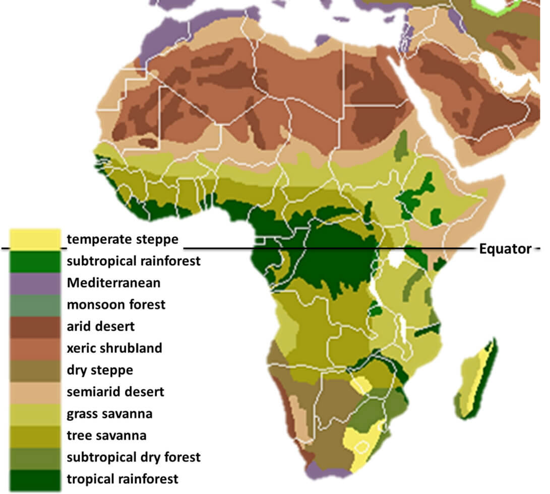 vegetation karte von afrika
