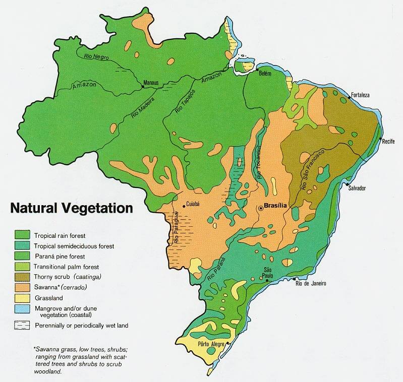 brasilien natural vegetation karte 1977