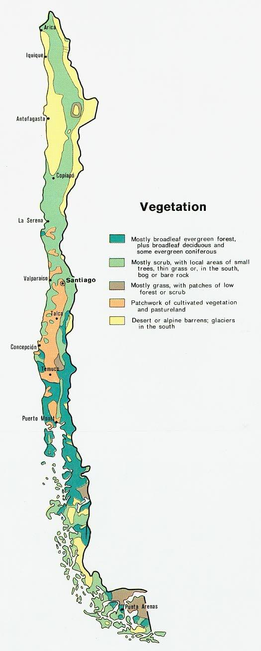 chile vegetation karte