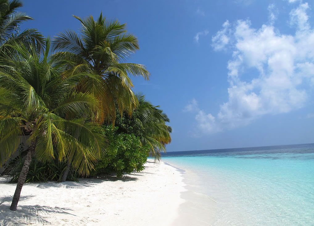 weis sandy strandes von malediven