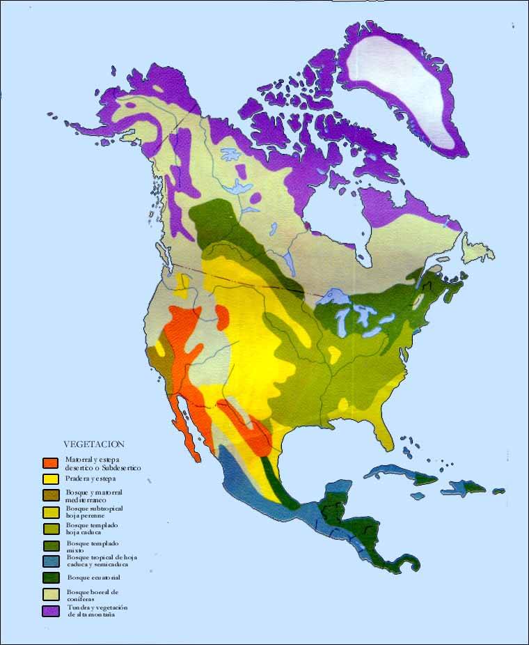 vegetation karte von nordlich amerika