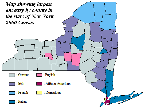 new york bevolkerung ethnistadt karte