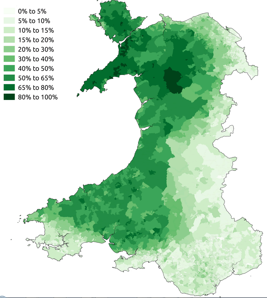 walisisch speakers 2011 census wales
